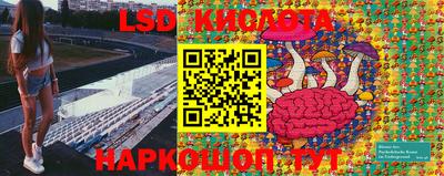 гидропоника Тула
