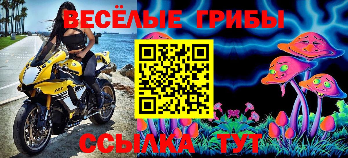 Нижний Новгород  Галлюциногенные грибы Psilocybine cubensis  Вход с VPN  Псилоцибиновые грибы мицелий 